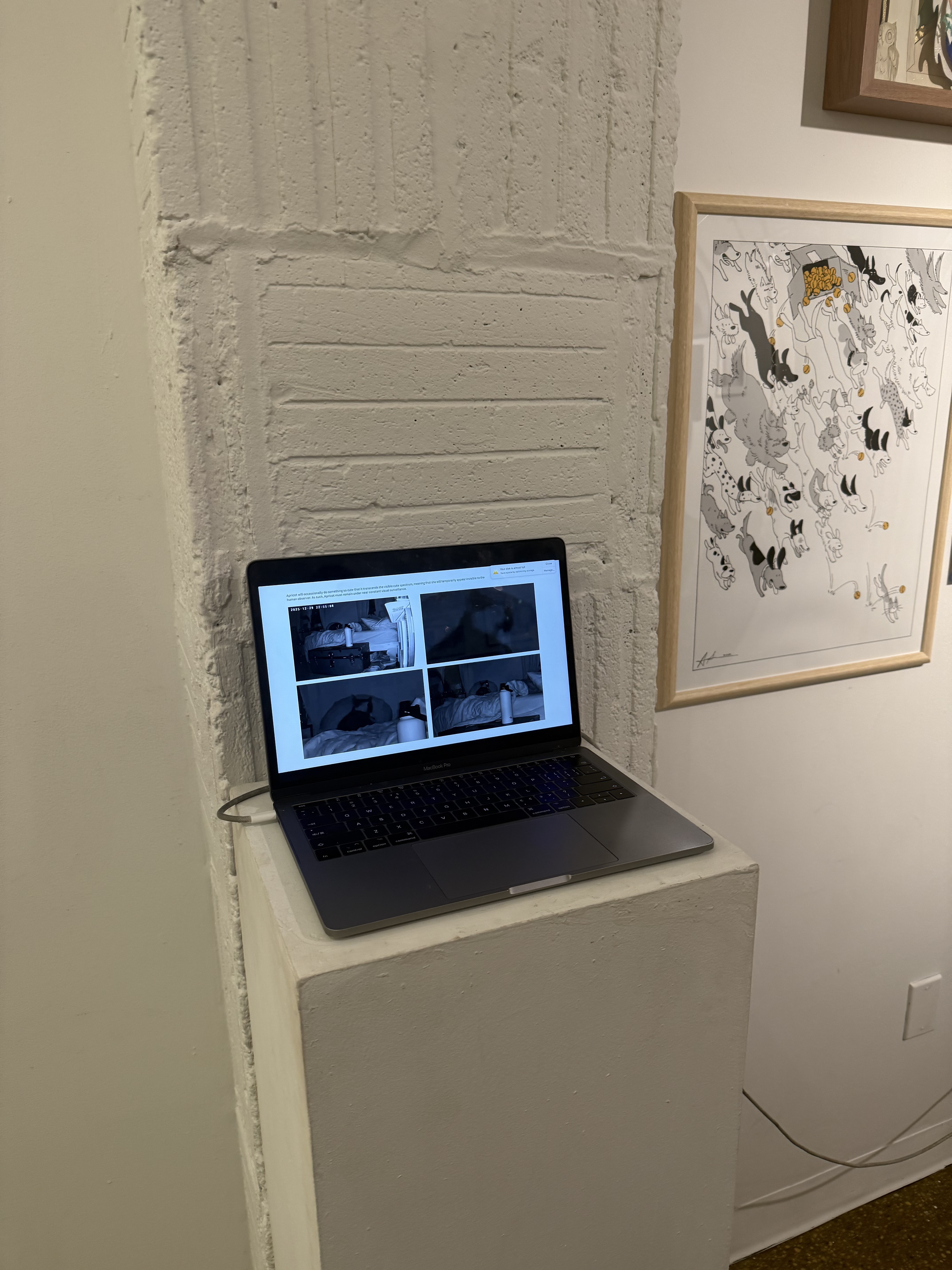 Detail of Look at Her — a four-camera surveillance grid of Apricot the cat, with on-screen text