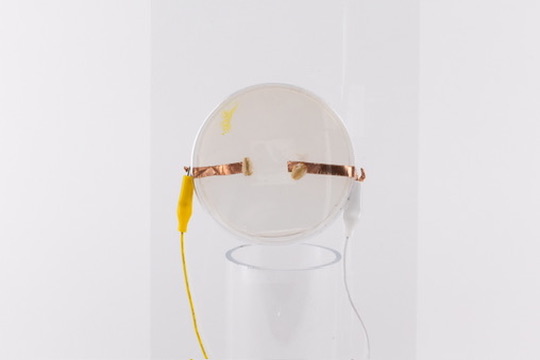 Bio-based electronics samples