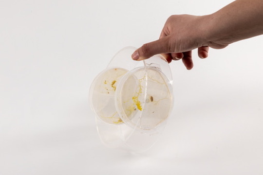 Bio-Based Electronics